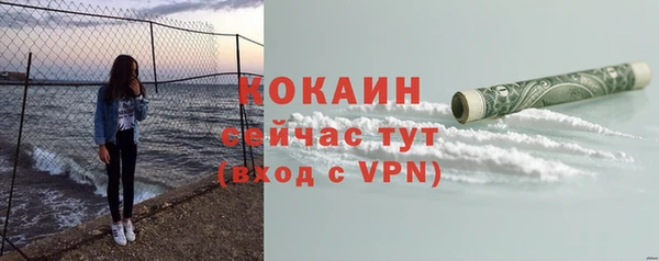 альфа пвп Няндома