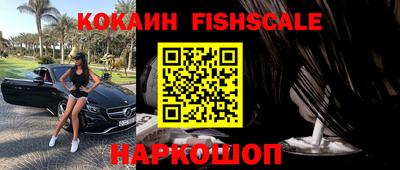 крисы Камышлов