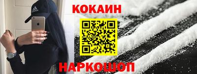 крисы Камышлов