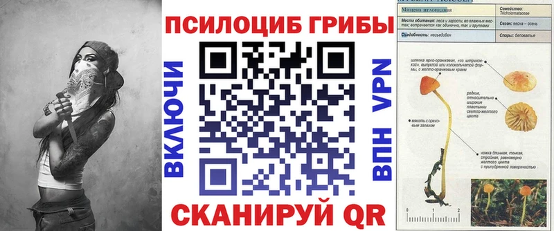 Псилоцибиновые грибы мицелий  Уварово 