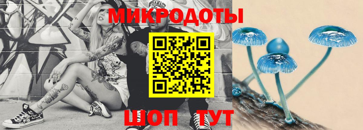 Псилоцибиновые грибы мицелий  Уварово  Псилоцибиновые грибы Psilocybe 