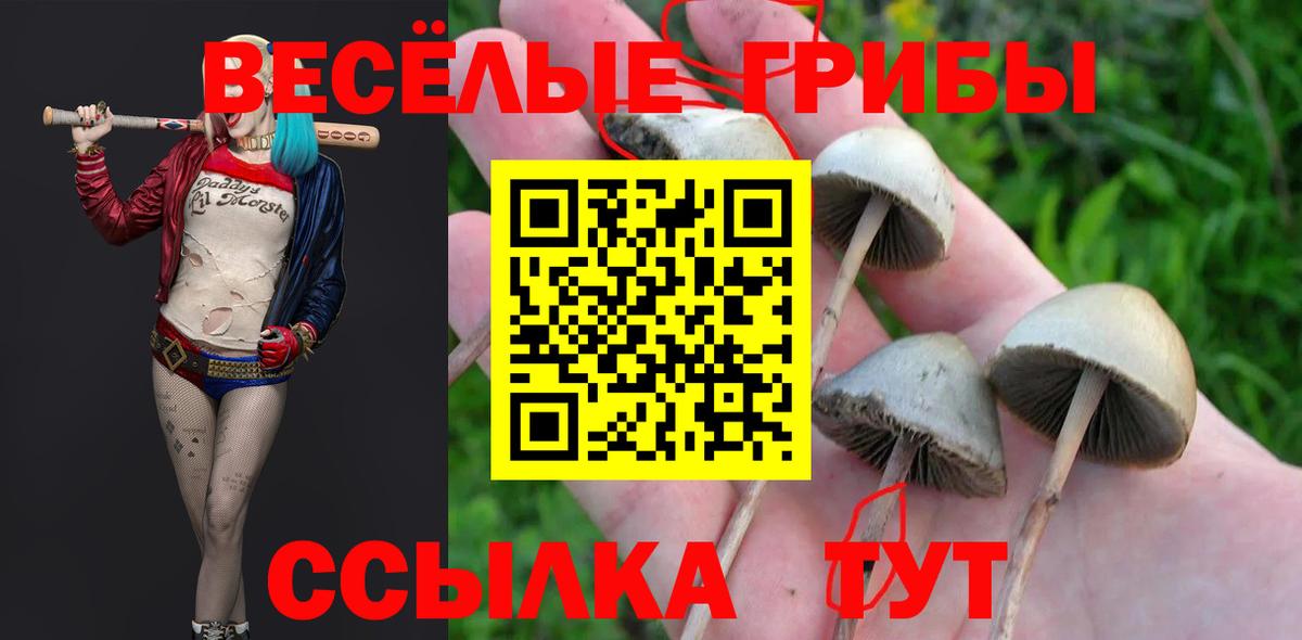 Уварово  Галлюциногенные грибы GOLDEN TEACHER  Вход с VPN 